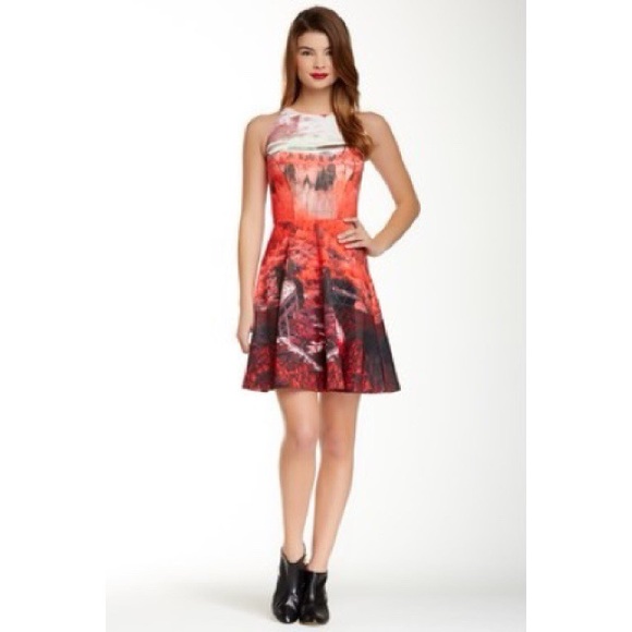 Ted Baker Dresses & Skirts - NWOT TED BAKER ROAD TO NOWHERE - RARE